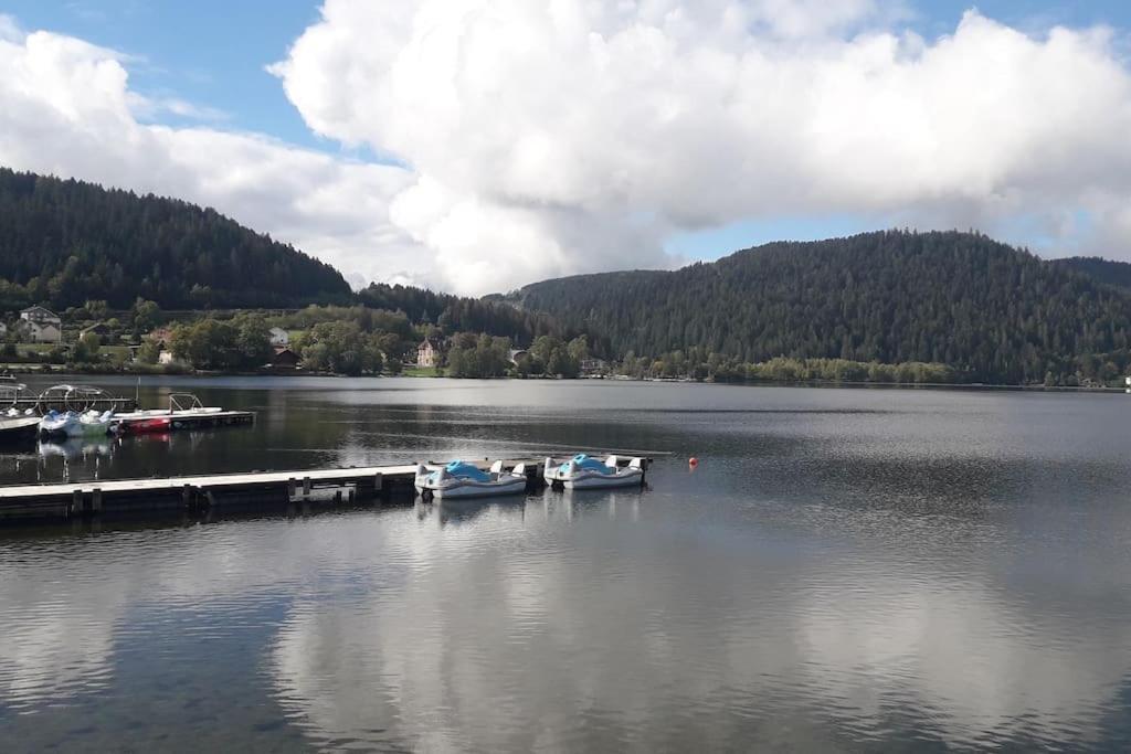 Chalet 3 Etoiles A Gerardmer. Exterior photo